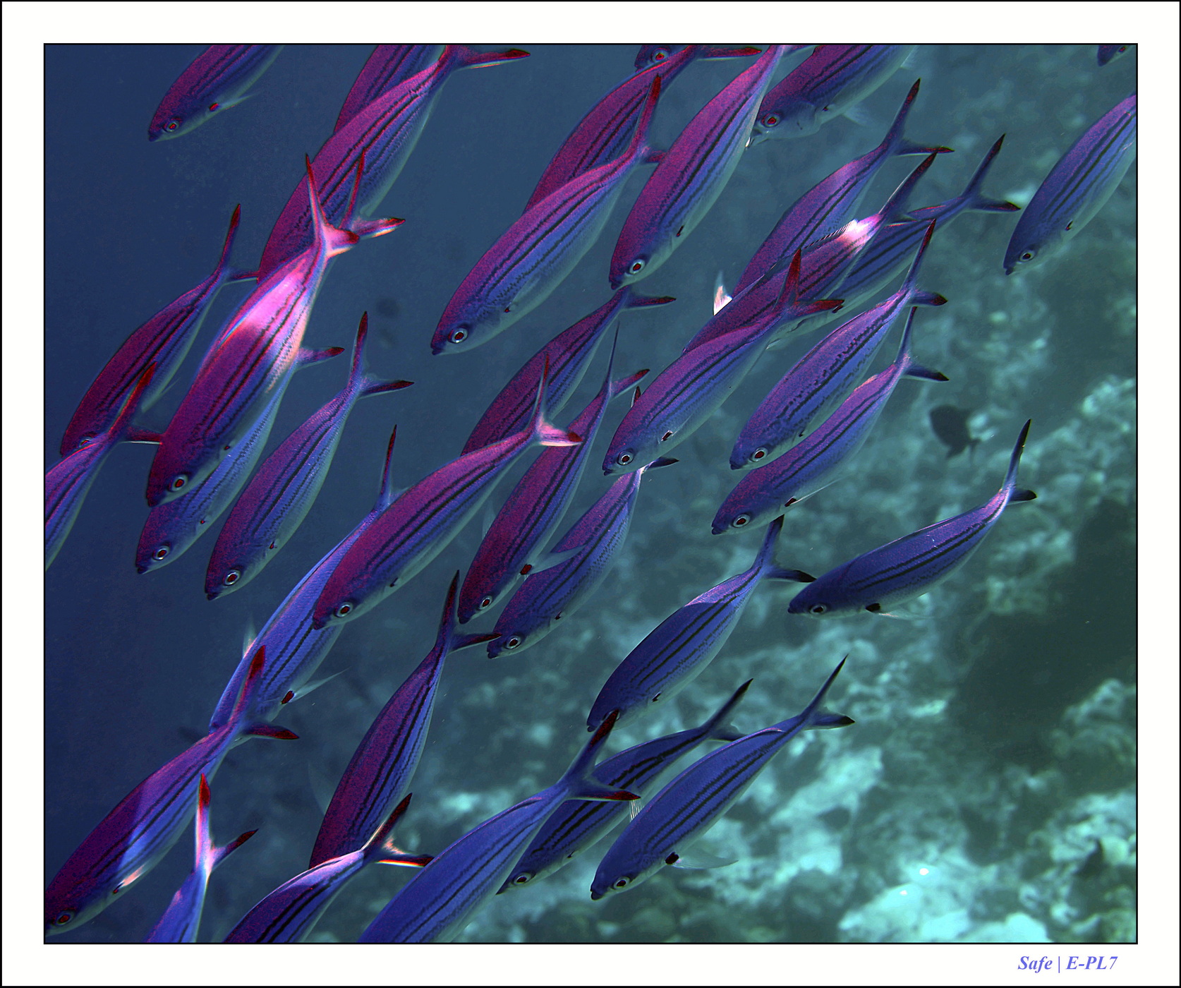 2023 - 07 - Sandies Bathala - 125